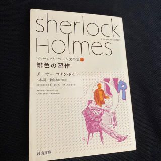 緋色の習作(文学/小説)