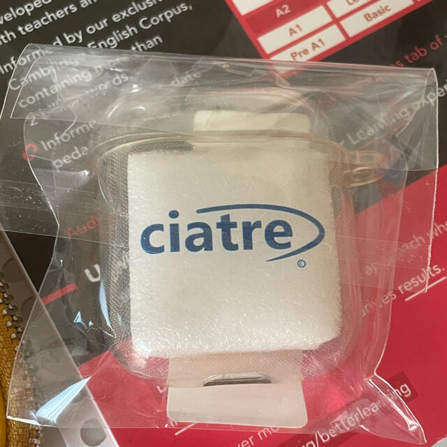 Supreme(シュプリーム)のciatre AirPodsケース スマホ/家電/カメラのオーディオ機器(ヘッドフォン/イヤフォン)の商品写真