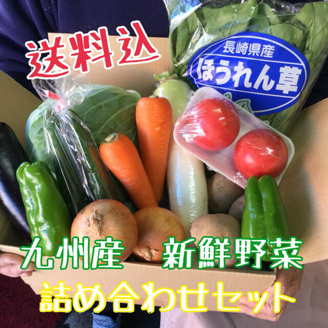 九州産　新鮮野菜詰め合わせセット 食品/飲料/酒の食品(野菜)の商品写真