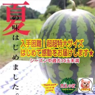 残3玉★西瓜の匠厳選！超超特大西瓜多めに採れました！先着5名様2,000円OFF(フルーツ)