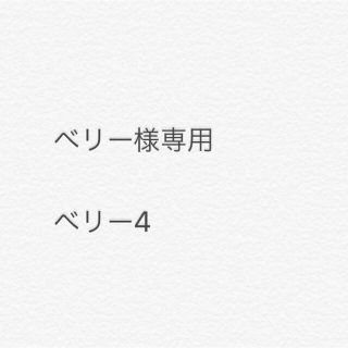 ベリー様専用　ベリー4個(プロテイン)