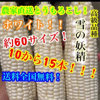 激安農家直送とうもろこし！ホワイト！中、小サイズがなんと10から15本入り(野菜)