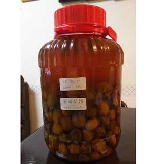 梅の実と梅ジュース（1.6キロ）(フルーツ)