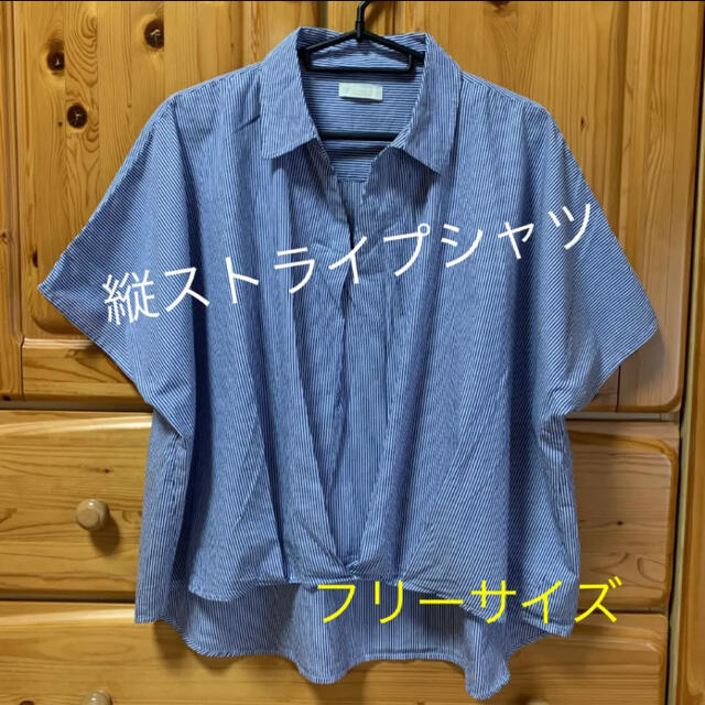 ストライプシャツ(F)  縦ストライプ レディースのトップス(シャツ/ブラウス(長袖/七分))の商品写真