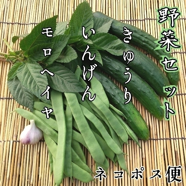 山形県産 野菜セット 食品/飲料/酒の食品(野菜)の商品写真