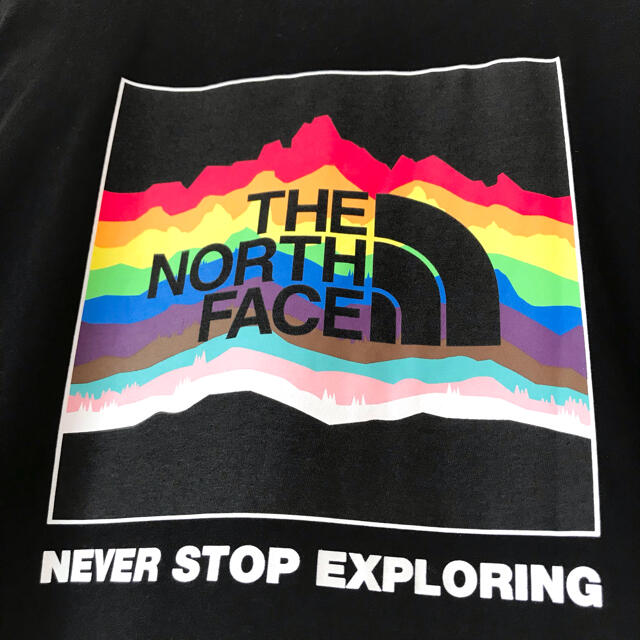 THE NORTH FACE(ザノースフェイス)のビッグサイズ ☆ 新品 ノースフェイス プライド Tシャツ 黒 3XL 4L メンズのトップス(Tシャツ/カットソー(半袖/袖なし))の商品写真