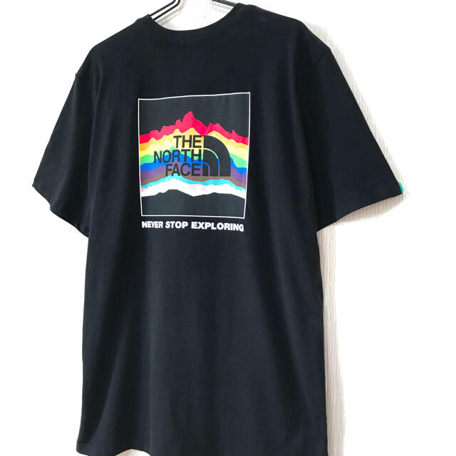 THE NORTH FACE(ザノースフェイス)のビッグサイズ ☆ 新品 ノースフェイス プライド Tシャツ 黒 3XL 4L メンズのトップス(Tシャツ/カットソー(半袖/袖なし))の商品写真