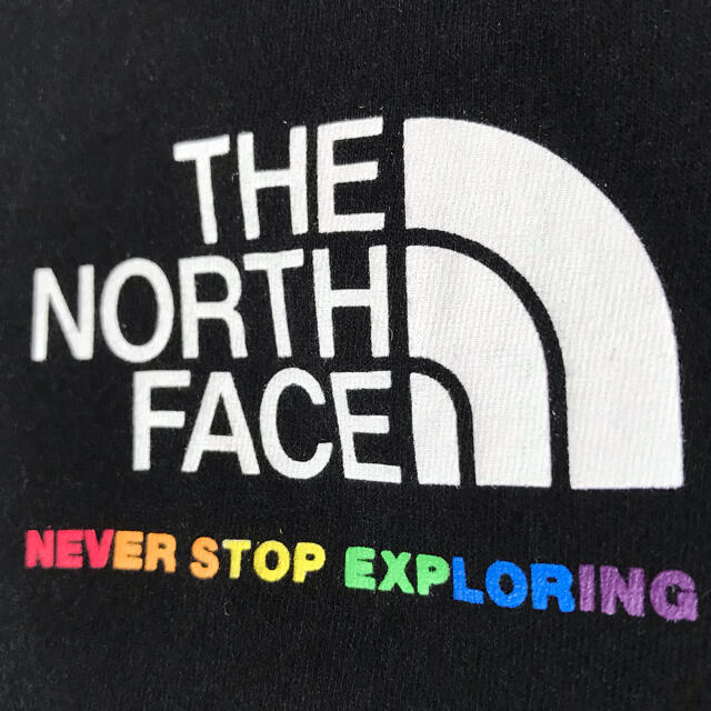 THE NORTH FACE - ビッグサイズ ☆ 新品 ノースフェイス プライド T ...