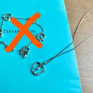 ティファニー(Tiffany & Co.)のTiffany&Co.  アップルペンダント　ネックレスのみ(ネックレス)