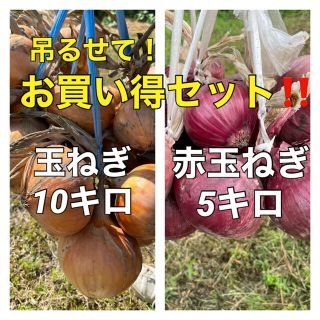 【吊るして保存‼️玉ねぎ、赤玉セット‼️】(野菜)