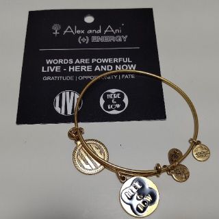 ユナイテッドアローズ(UNITED ARROWS)のAlex&Ani バングル(ブレスレット/バングル)