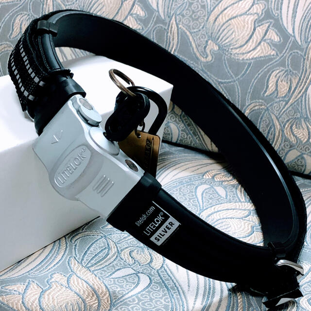 最強の防犯ツール ⭐️ライトロックLITELOK ⭐︎SILVER 70cm | フリマアプリ ラクマ