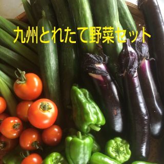 無農薬野菜詰め合わせ(野菜)