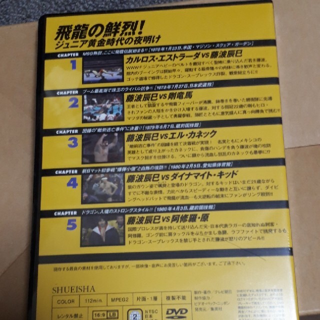 燃えろ！新日本プロレス　Vol.28 エンタメ/ホビーの本(趣味/スポーツ/実用)の商品写真