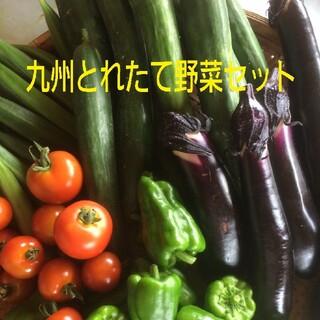無農薬野菜詰め合わせ(野菜)