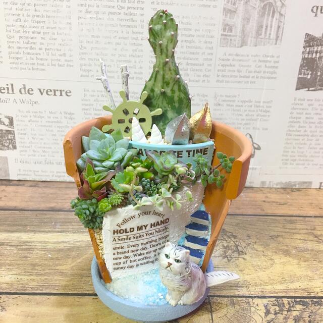 多肉植物の寄せ植え　みなとのニャンコ ハンドメイドのフラワー/ガーデン(その他)の商品写真