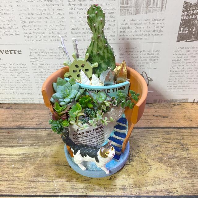 多肉植物の寄せ植え　みなとのニャンコ ハンドメイドのフラワー/ガーデン(その他)の商品写真