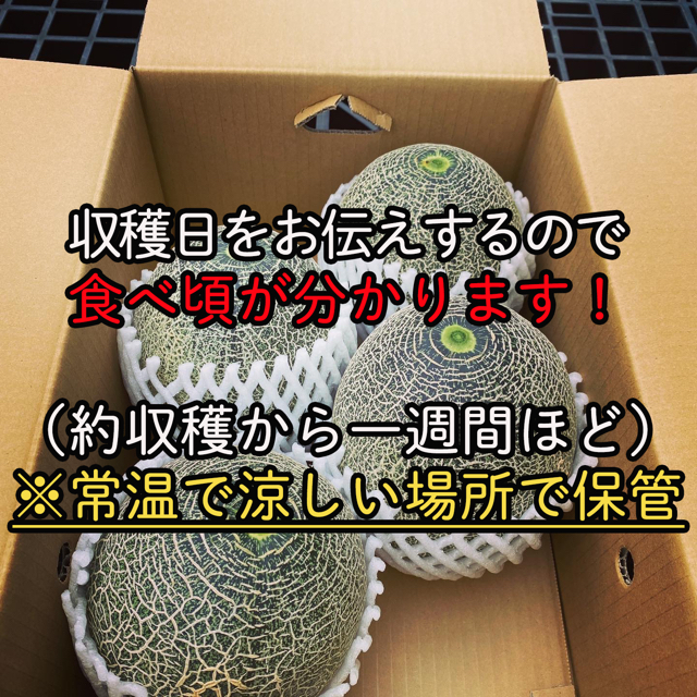 タカミメロン　29日発送予定 食品/飲料/酒の食品(フルーツ)の商品写真