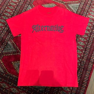 テンダーロイン(TENDERLOIN)のテンダーロイン  オルタナティブ Alternative Tシャツ　美品　S(Tシャツ/カットソー(半袖/袖なし))