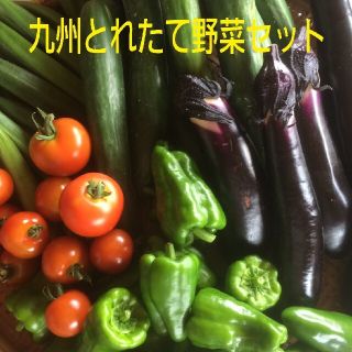 無農薬野菜詰め合わせ(野菜)