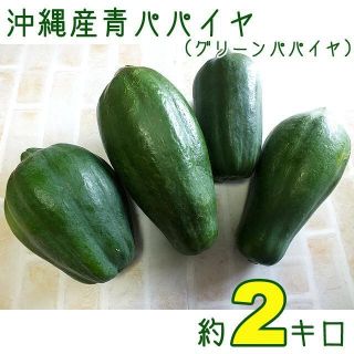 【送料込】沖縄産青パパイヤ約２キロ│グリーンパパイヤでソムタムなどにいかが？(野菜)