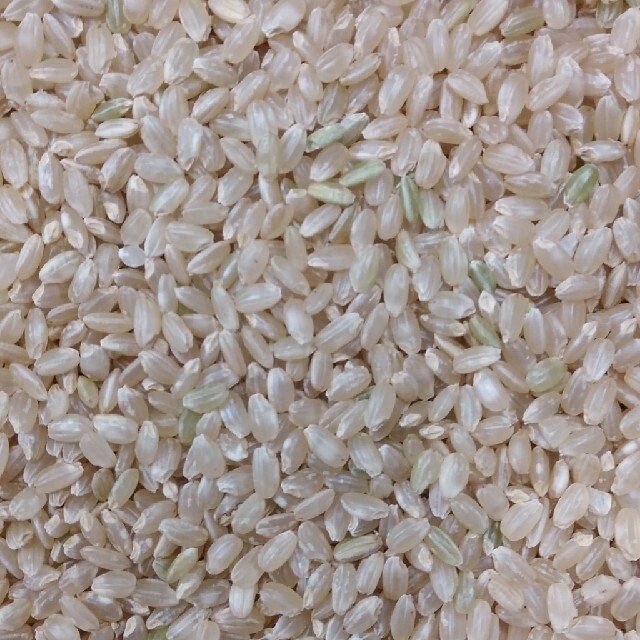 玄米　30kg　（ひゃくまん穀）説明読んでください　米/穀物