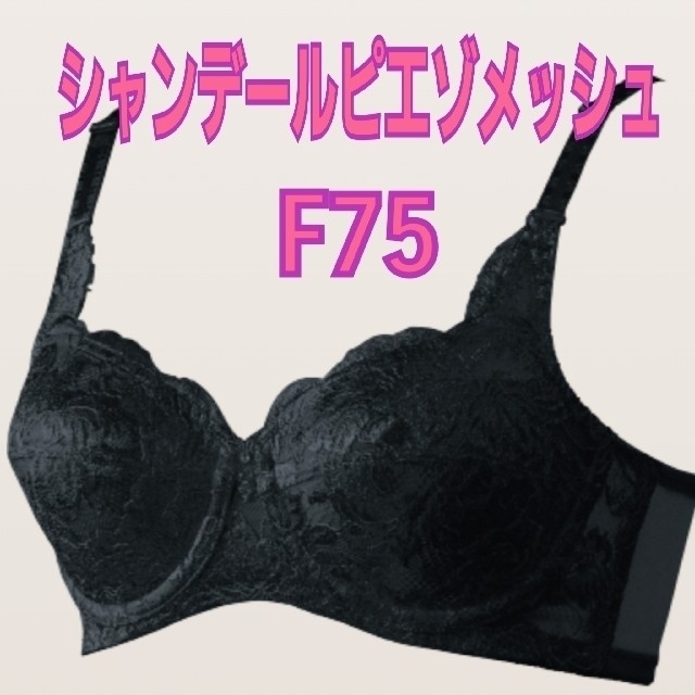 シャンデールピエゾメッシュ　ブラジャーF75 美品