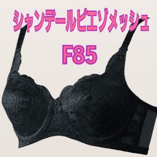 シャンデールピエゾメッシュ　ブラジャーF85 美品