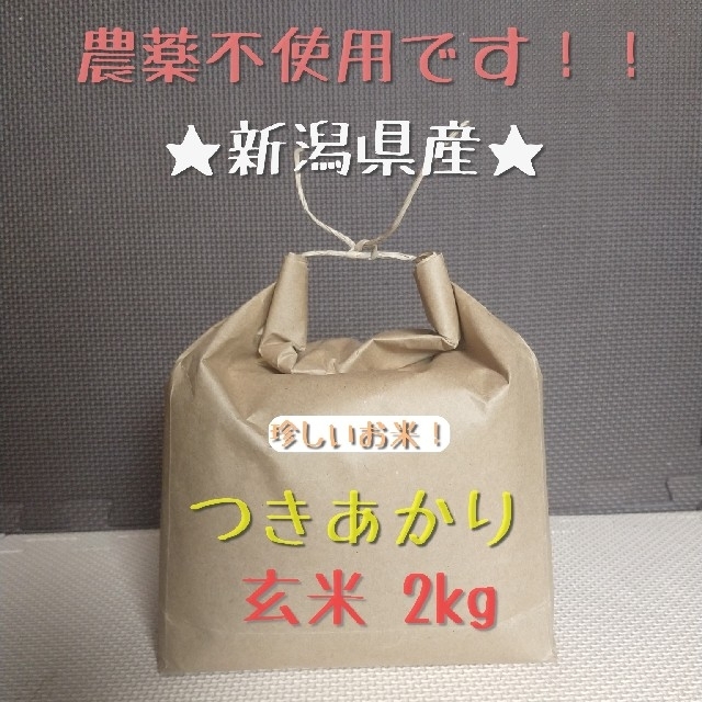 ななつぼし's　by　令和2年度産の通販　つきあかり玄米2kg　残り僅か】貴重な農薬不使用　shop｜ラクマ