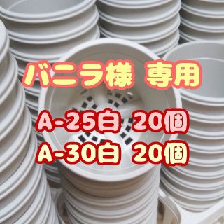 プラ鉢2.5号鉢【A-25】20個 他 スリット鉢 丸 プレステラ 多肉植物(プランター)