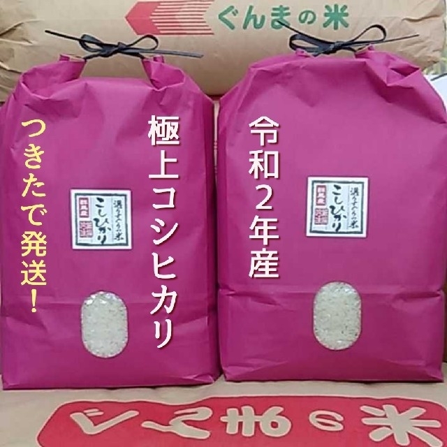 令和2年産！極上コシヒカリ！新米！精米or無洗米！20食品