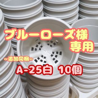 プラ鉢2.5号鉢【A-25】10個 スリット鉢 丸 プレステラ 多肉植物(プランター)