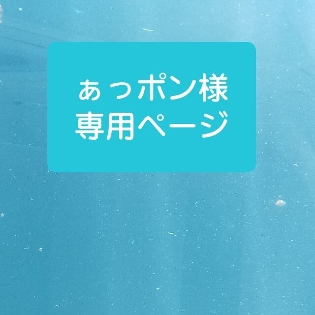 ぁっポン様専用ページ ハンドメイドのハンドメイド その他(その他)の商品写真