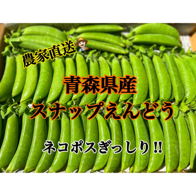 【採れたて】スナップえんどう　青森県産　農家直送 食品/飲料/酒の食品(野菜)の商品写真