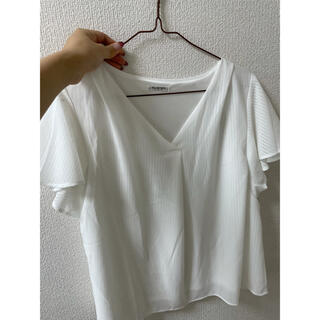 ハニーズ(HONEYS)の白シャツ(シャツ/ブラウス(半袖/袖なし))