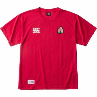 カンタベリー(CANTERBURY)のラグビー 日本代表 ONE TEAM Tシャツ Lサイズ(ラグビー)