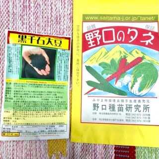 安心☀ 安全☘野口のタネ✿黒千石大豆☺️30粒　無農薬　オーガニック　黒豆納豆(野菜)