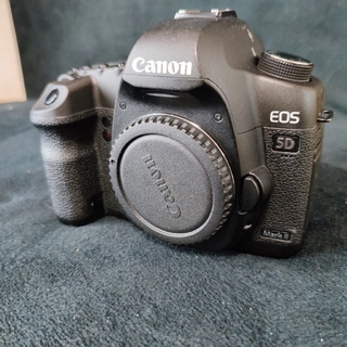 Canon - Canon 5D mark Ⅱ SDカード変換アダプター付きの通販 by