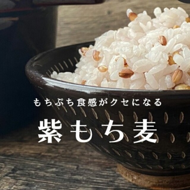 もち麦 (紫もち麦) 2キロ 食品/飲料/酒の食品(米/穀物)の商品写真