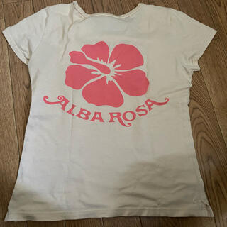 アルバローザ(ALBA ROSA)のALBAROSA Tシャツ(Tシャツ(半袖/袖なし))