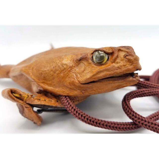 本物 カエル 財布 フルボディ 本革 剥製 ヒキガエル かわいい 蛙の通販 By りょう S Shop ラクマ