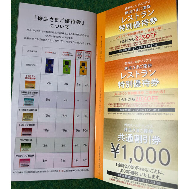 西武ホールディングスの株主優待（100株用） チケットの優待券/割引券(その他)の商品写真