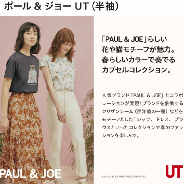 UNIQLO(ユニクロ)のユニクロ×ポールアンドジョー　メガネ　コラボ　猫Tシャツ レディースのトップス(Tシャツ(半袖/袖なし))の商品写真