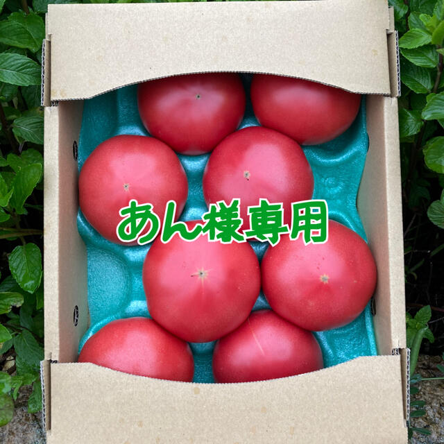 あん様専用 2kg 食品/飲料/酒の食品(野菜)の商品写真