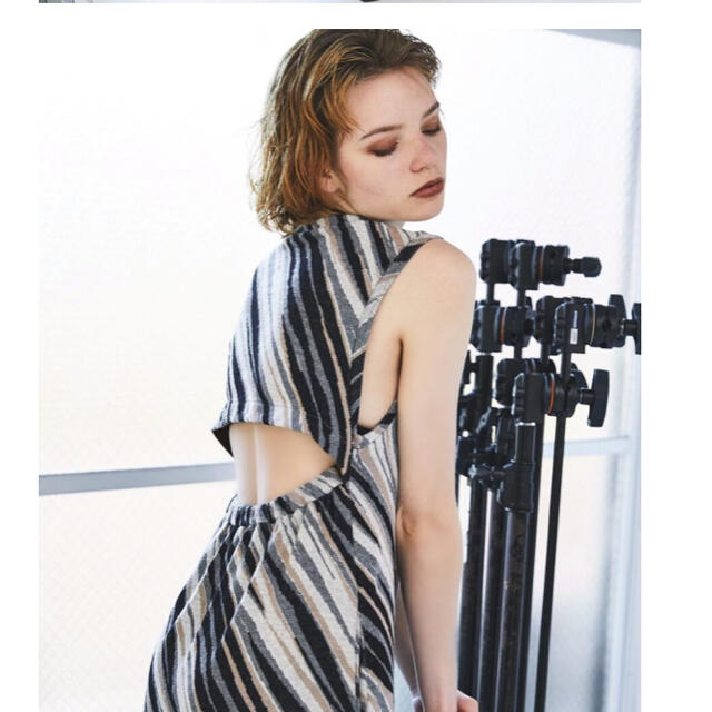 ALEXIA STAM(アリシアスタン)のJUEMI Zebra Knit-sew Dress レディースのワンピース(ロングワンピース/マキシワンピース)の商品写真