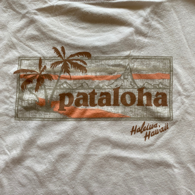 patagonia(パタゴニア)のパタゴニア  パタロハTシャツ レディースのトップス(Tシャツ(半袖/袖なし))の商品写真