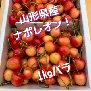 山形県産 さくらんぼ ナポレオン 1kg(フルーツ)
