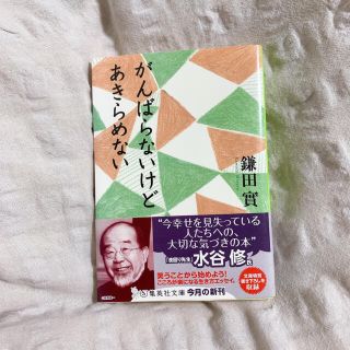 シュウエイシャ(集英社)のがんばらないけどあきらめない(文学/小説)