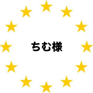 カワダ(Kawada)のちむ様　専用　アイロンビーズ (各種パーツ)