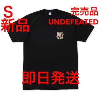 アンディフィーテッド(UNDEFEATED)の完売品 アンディフィーテッド  ANOINTED S/S TEE(Tシャツ/カットソー(半袖/袖なし))